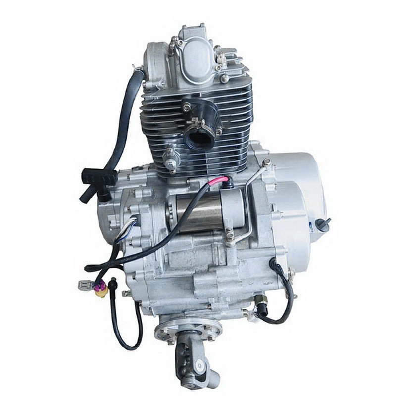 Whole Complete Set Gasoline Engine for Jianshe 400cc Js400