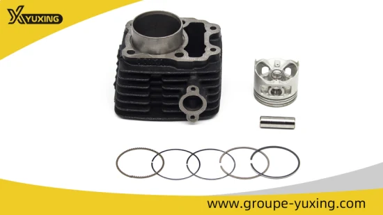 Motorcycle Spare Part Cylinder Block Kit for Bajaj100